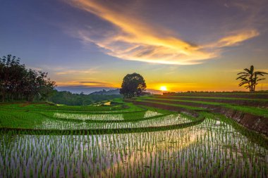 Endonezya 'nın güzel sabah manzarası Dağlar ve tropikal ormanlar