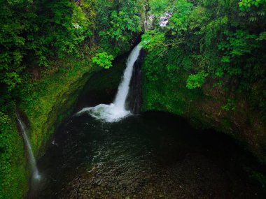 Endonezya 'nın güzel sabah manzarası Dağlar ve tropikal ormanlar