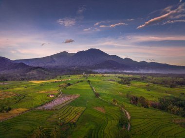 Endonezya 'nın güzel sabah manzarası Dağlar ve tropikal ormanlar