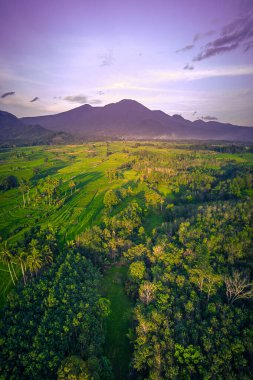 Endonezya 'nın güzel sabah manzarası Dağlar ve tropikal ormanlar