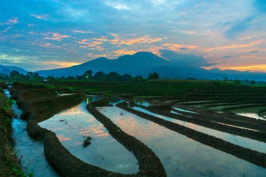 Güzel sabah manzarası Endonezya, Panorama manzara çeltik tarlaları güzellik rengi ve gökyüzü doğal ışık