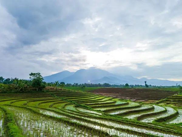 stock image Beautiful morning view indonesia, Panorama Landscape paddy fields with beauty color and sky natural light