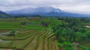 Kuzey Bengkulu, Endonezya 'daki Barisan Dağları' nın altındaki pirinç tarlalarının ve nehrin parlak sabah manzarasının güzelliği.