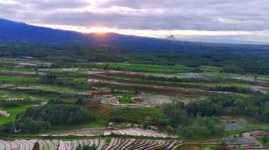 Kuzey Bengkulu, Endonezya 'daki Barisan Dağları' nın altındaki pirinç tarlalarının ve nehrin parlak sabah manzarasının güzelliği.
