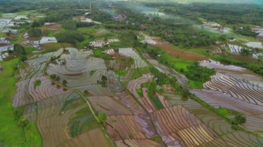 Endonezya 'nın güzel sabah manzarası. Güzellik rengi ve gökyüzü doğal ışıklarıyla Panorama manzara çeltik tarlaları