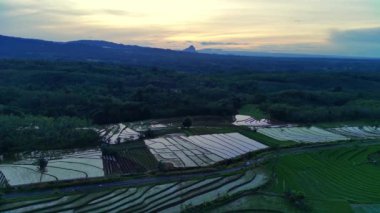 Endonezya 'nın güzel sabah manzarası. Güzellik rengi ve gökyüzü doğal ışıklarıyla Panorama manzara çeltik tarlaları
