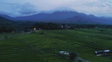 Endonezya 'nın güzel sabah manzarası. Güzellik rengi ve gökyüzü doğal ışıklarıyla Panorama manzara çeltik tarlaları