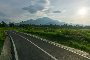 Kuzey Bengkulu 'daki Endonezya güzelliği çeltik tarlaları. Endonezya' nın dağları ve tropikal ormanlarının doğal sabah manzarası.