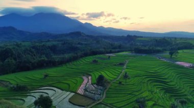 Endonezya 'nın güzel sabah manzarası. Güzellik rengi ve gökyüzü doğal ışıklarıyla Panorama manzara çeltik tarlaları