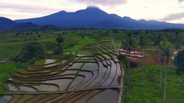 beautiful morning view indonesia panorama landscape paddy fields with beauty color and sky natural light