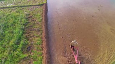 Endonezya 'nın güzel sabah manzarası. Güzellik rengi ve gökyüzü doğal ışıklarıyla Panorama manzara çeltik tarlaları
