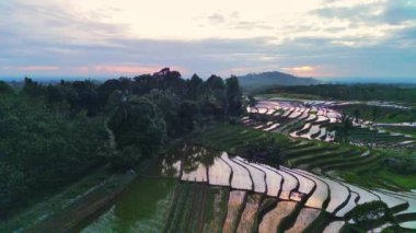 beautiful morning view indonesia panorama landscape paddy fields with beauty color and sky natural light