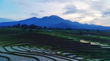 beautiful morning view indonesia panorama landscape paddy fields with beauty color and sky natural light