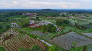 beautiful morning view indonesia panorama landscape paddy fields with beauty color and sky natural light