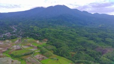 beautiful morning view indonesia panorama landscape paddy fields with beauty color and sky natural light