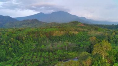 beautiful morning view indonesia panorama landscape paddy fields with beauty color and sky natural light