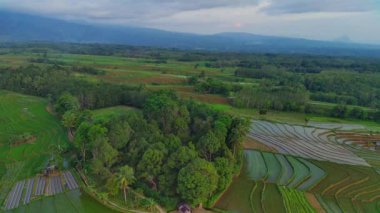 beautiful morning view indonesia panorama landscape paddy fields with beauty color and sky natural light