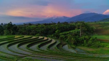 beautiful morning view indonesia panorama landscape paddy fields with beauty color and sky natural light