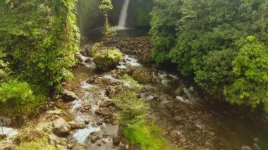 beautiful morning view indonesia panorama landscape paddy fields with beauty color and sky natural light