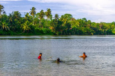 Kuzey Bengkulu 'daki Endonezya güzelliği çeltik tarlaları. Endonezya' nın dağları ve tropikal ormanlarının doğal sabah manzarası.