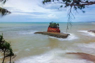 Kuzey Bengkulu 'daki Endonezya güzelliği çeltik tarlaları. Endonezya' nın dağları ve tropikal ormanlarının doğal sabah manzarası.