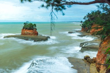Kuzey Bengkulu 'daki Endonezya güzelliği çeltik tarlaları. Endonezya' nın dağları ve tropikal ormanlarının doğal sabah manzarası.