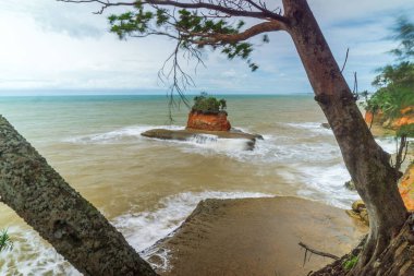 Kuzey Bengkulu 'daki Endonezya güzelliği çeltik tarlaları. Endonezya' nın dağları ve tropikal ormanlarının doğal sabah manzarası.
