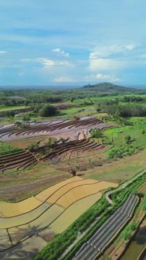 beautiful morning view indonesia panorama landscape paddy fields with beauty color and sky natural light