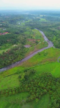 beautiful morning view indonesia panorama landscape paddy fields with beauty color and sky natural light