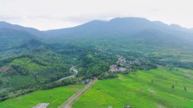 beautiful morning view indonesia panorama landscape paddy fields with beauty color and sky natural light