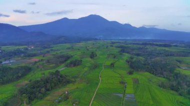 beautiful morning view indonesia panorama landscape paddy fields with beauty color and sky natural light