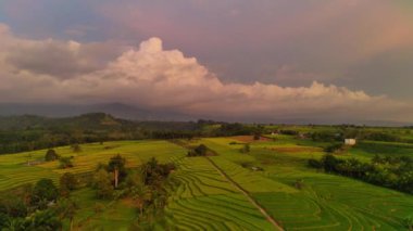 beautiful morning view indonesia panorama landscape paddy fields with beauty color and sky natural light