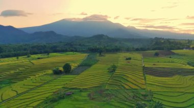 beautiful morning view indonesia panorama landscape paddy fields with beauty color and sky natural light