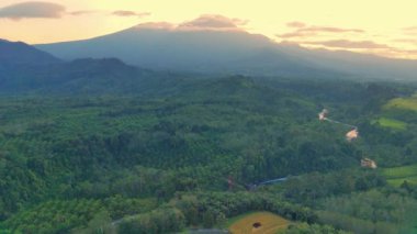 beautiful morning view indonesia panorama landscape paddy fields with beauty color and sky natural light