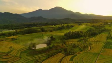 beautiful morning view indonesia panorama landscape paddy fields with beauty color and sky natural light