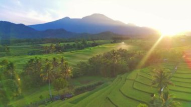 beautiful morning view indonesia panorama landscape paddy fields with beauty color and sky natural light