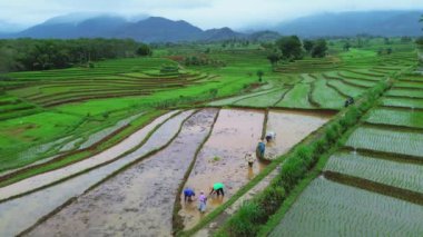 beautiful morning view indonesia panorama landscape paddy fields with beauty color and sky natural light