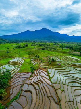 Endonezya 'nın güzelliği, Kuzey Bengkulu' daki pirinç tarlaları, dağları ve tropikal ormanları olan Endonezya 'nın güzel bir sabah manzarası.