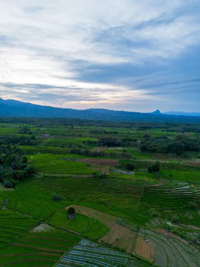 Endonezya 'nın güzelliği, Kuzey Bengkulu' daki pirinç tarlaları, dağları ve tropikal ormanları olan Endonezya 'nın güzel bir sabah manzarası.