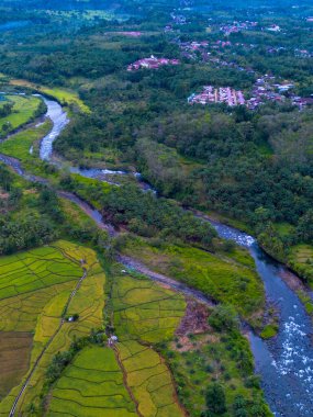 Endonezya 'nın güzelliği, Kuzey Bengkulu' daki pirinç tarlaları, dağları ve tropikal ormanları olan Endonezya 'nın güzel bir sabah manzarası.