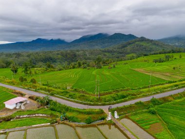 Endonezya 'nın güzelliği, Kuzey Bengkulu' daki pirinç tarlaları, dağları ve tropikal ormanları olan Endonezya 'nın güzel bir sabah manzarası.