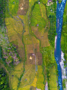 Endonezya 'nın güzelliği, Kuzey Bengkulu' daki pirinç tarlaları, dağları ve tropikal ormanları olan Endonezya 'nın güzel bir sabah manzarası.