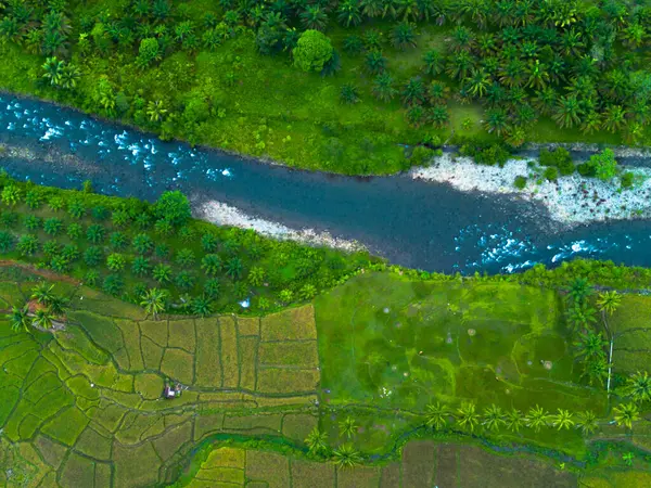 Endonezya 'nın güzelliği, Kuzey Bengkulu' daki pirinç tarlaları, dağları ve tropikal ormanları olan Endonezya 'nın güzel bir sabah manzarası.