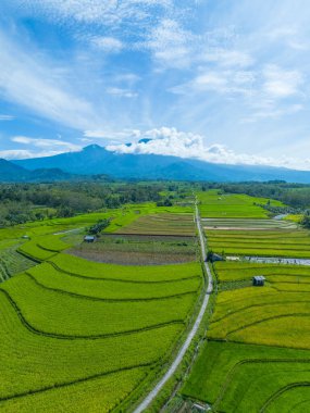 Endonezya 'nın güzelliği, Kuzey Bengkulu' daki pirinç tarlaları, dağları ve tropikal ormanları olan Endonezya 'nın güzel bir sabah manzarası.