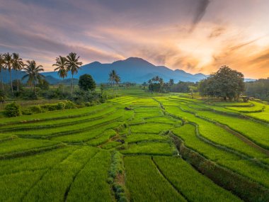 beautiful morning view indonesia panorama landscape paddy fields with beauty color and sky natural light