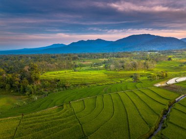 beautiful morning view indonesia panorama landscape paddy fields with beauty color and sky natural light