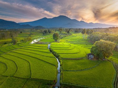 beautiful morning view indonesia panorama landscape paddy fields with beauty color and sky natural light