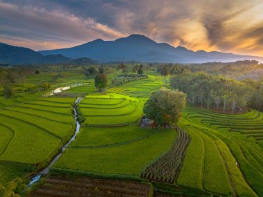 beautiful morning view indonesia panorama landscape paddy fields with beauty color and sky natural light