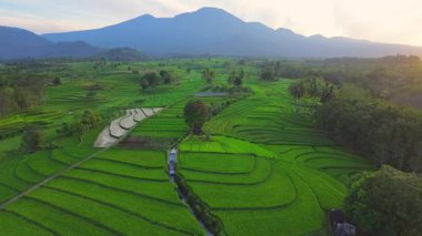 beautiful morning view indonesia panorama landscape paddy fields with beauty color and sky natural light