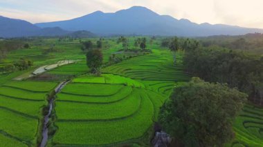 beautiful morning view indonesia panorama landscape paddy fields with beauty color and sky natural light
